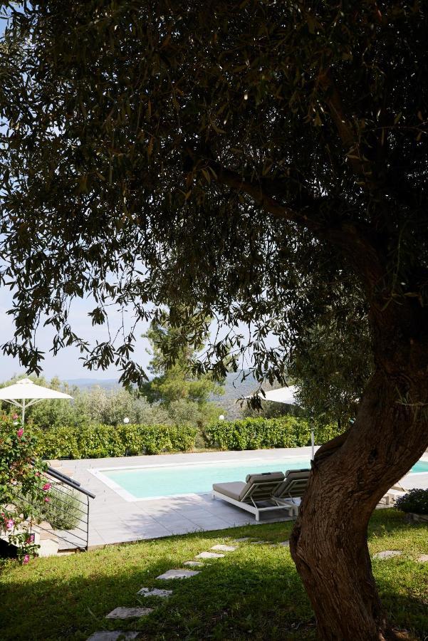 Sithonian Villa Neos Marmaras Exterior foto