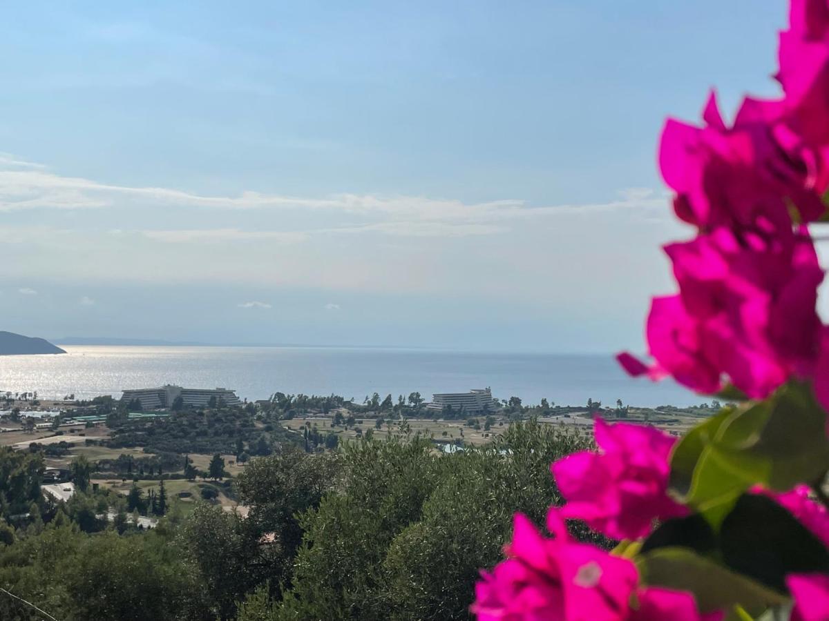 Sithonian Villa Neos Marmaras Exterior foto